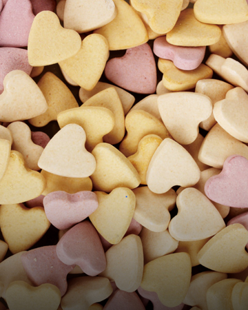 動(dòng)物營養(yǎng)