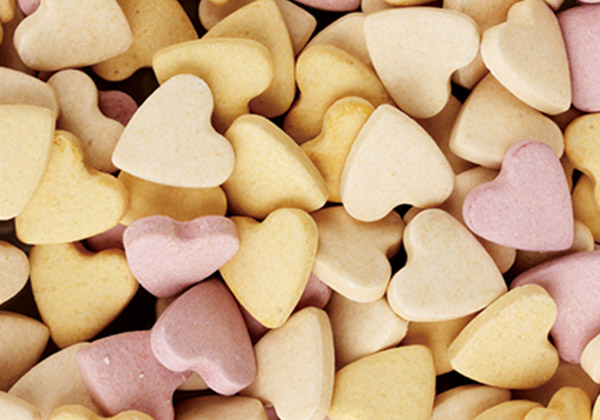 動(dòng)物營養(yǎng)